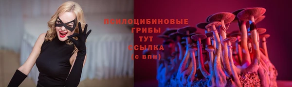 соль ск Алексеевка