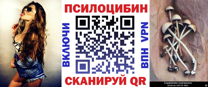 Купить закладки  Волжск  Галлюциногенные грибы Cubensis 